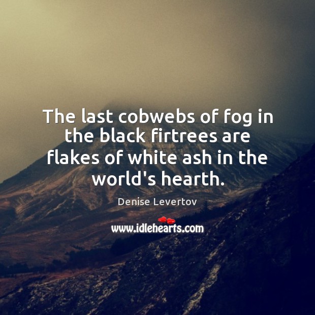 The last cobwebs of fog in the black firtrees are flakes of Denise Levertov Picture Quote