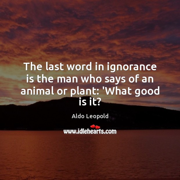 The last word in ignorance is the man who says of an animal or plant: ‘What good is it? Aldo Leopold Picture Quote