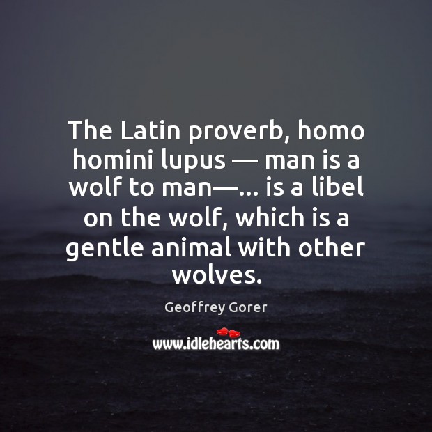 The Latin proverb, homo homini lupus — man is a wolf to man—… Geoffrey Gorer Picture Quote