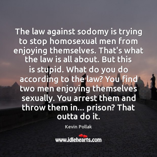 The law against sodomy is trying to stop homosexual men from enjoying Kevin Pollak Picture Quote