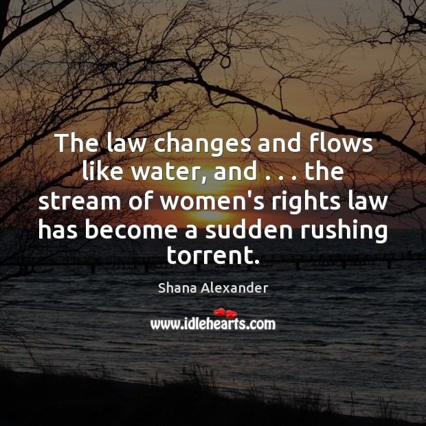 The law changes and flows like water, and . . . the stream of women’s Image