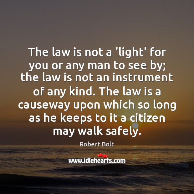 The law is not a ‘light’ for you or any man to Robert Bolt Picture Quote