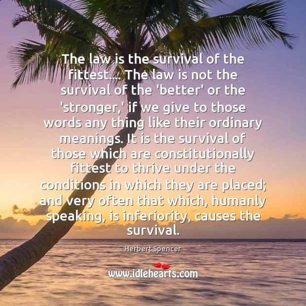 The law is the survival of the fittest…. The law is not Image