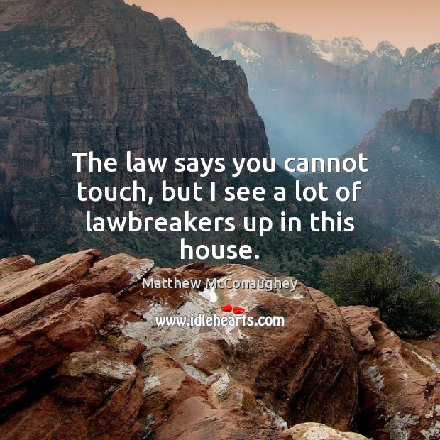 The law says you cannot touch, but I see a lot of lawbreakers up in this house. 