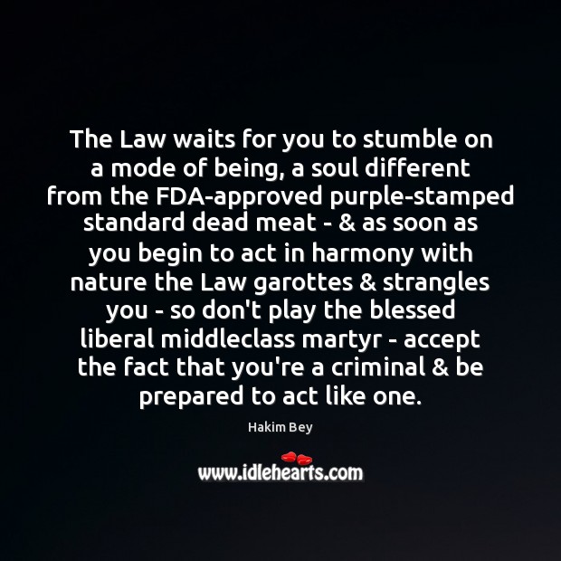The Law waits for you to stumble on a mode of being, 