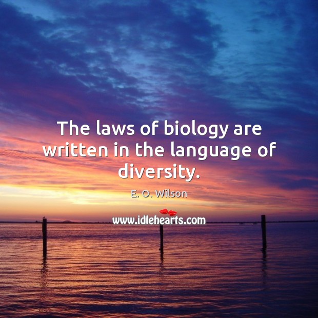 The laws of biology are written in the language of diversity. E. O. Wilson Picture Quote