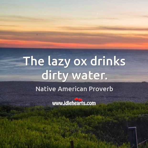The lazy ox drinks dirty water. Native American Proverbs Image