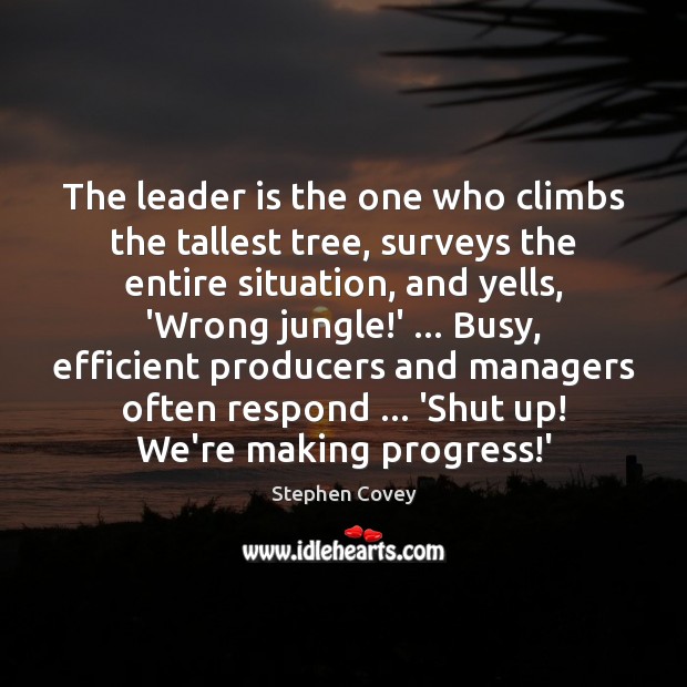 The leader is the one who climbs the tallest tree, surveys the Stephen Covey Picture Quote