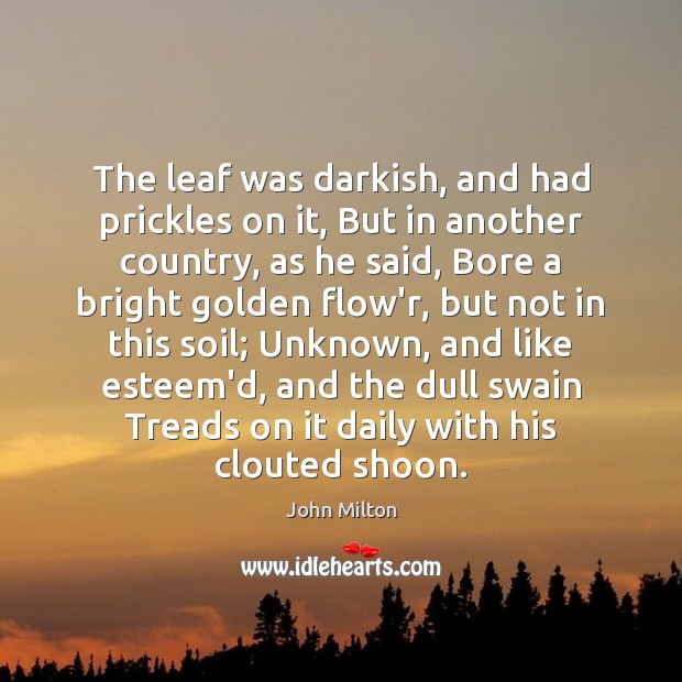 The leaf was darkish, and had prickles on it, But in another John Milton Picture Quote