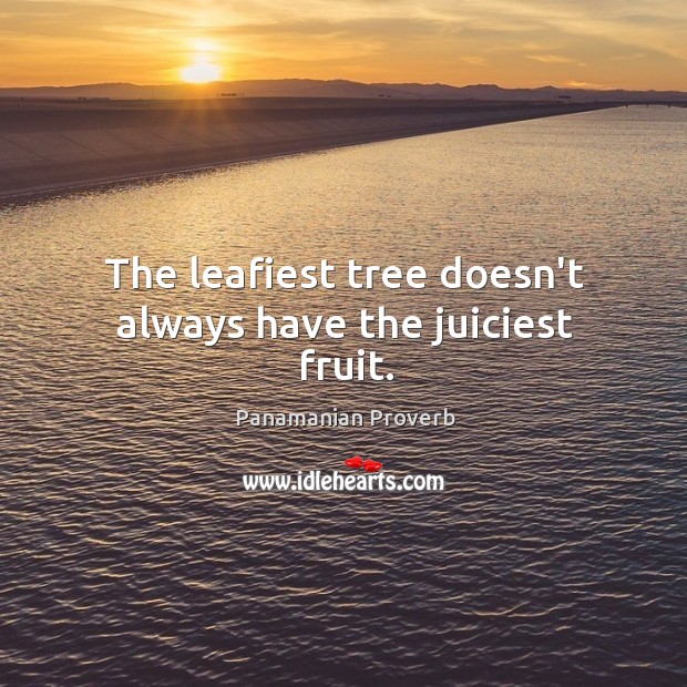 The leafiest tree doesn’t always have the juiciest fruit. Image