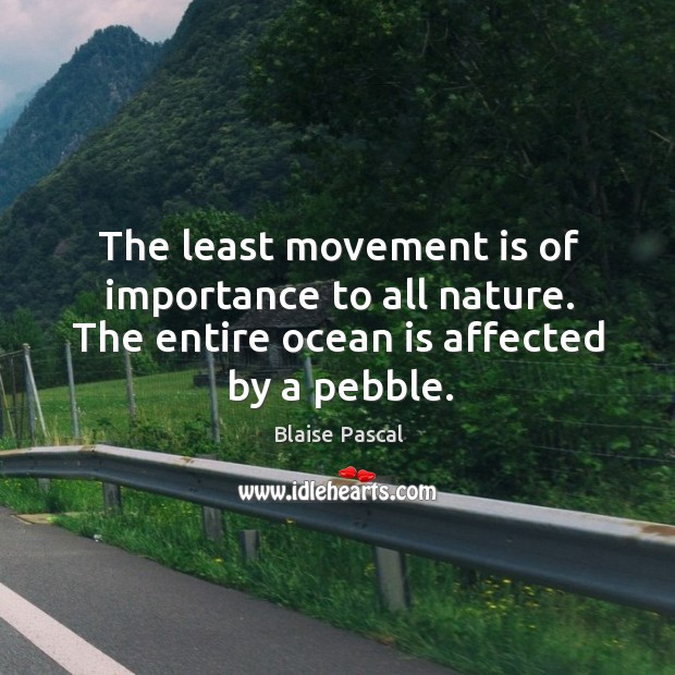 The least movement is of importance to all nature. The entire ocean is affected by a pebble. Blaise Pascal Picture Quote