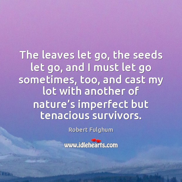 The leaves let go, the seeds let go, and I must let Robert Fulghum Picture Quote