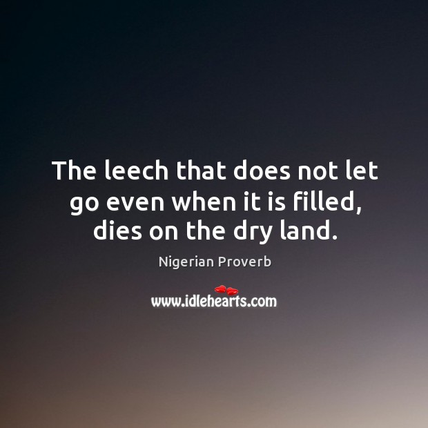 The leech that does not let go even when it is filled, dies on the dry land. Nigerian Proverbs Image