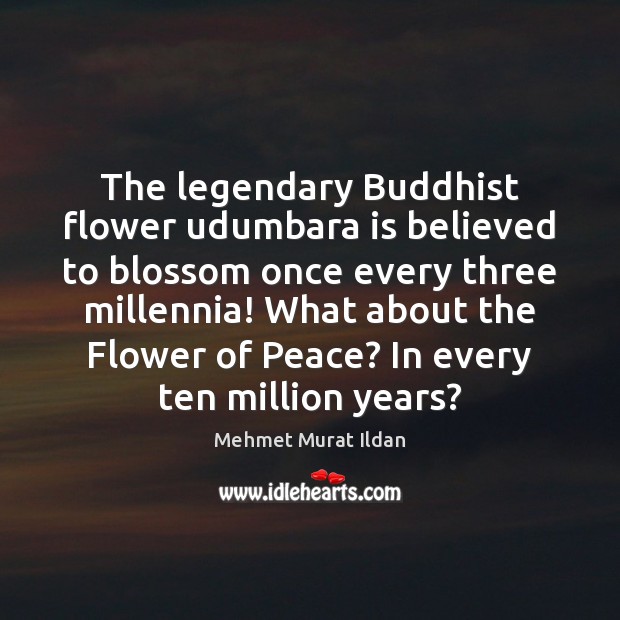 The legendary Buddhist flower udumbara is believed to blossom once every three Image