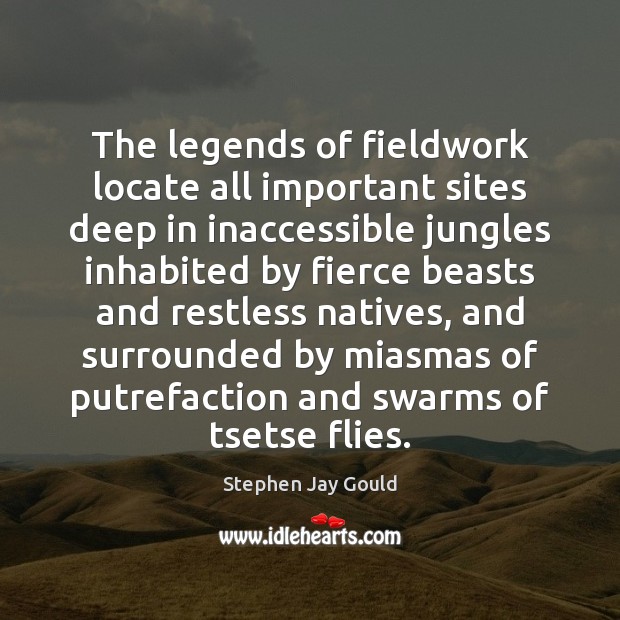 The legends of fieldwork locate all important sites deep in inaccessible jungles Stephen Jay Gould Picture Quote