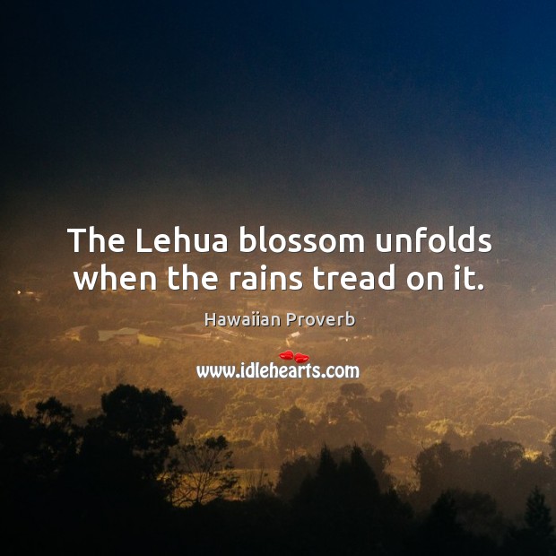The lehua blossom unfolds when the rains tread on it. Hawaiian Proverbs Image