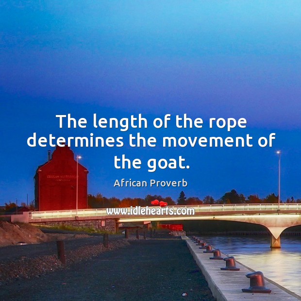 The length of the rope determines the movement of the goat. Image