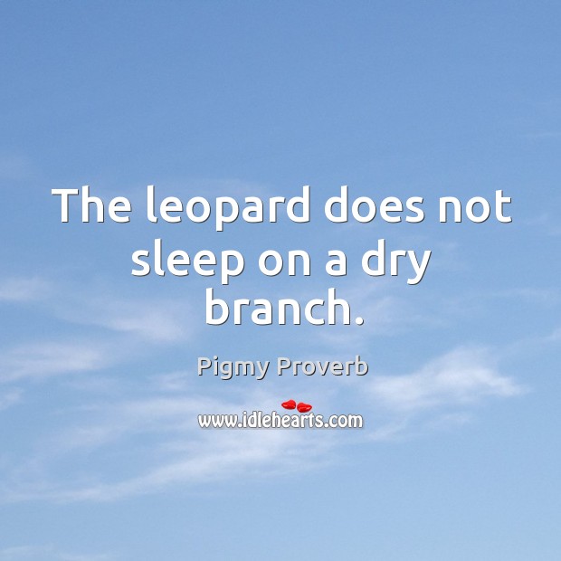 The leopard does not sleep on a dry branch. Pigmy Proverbs Image