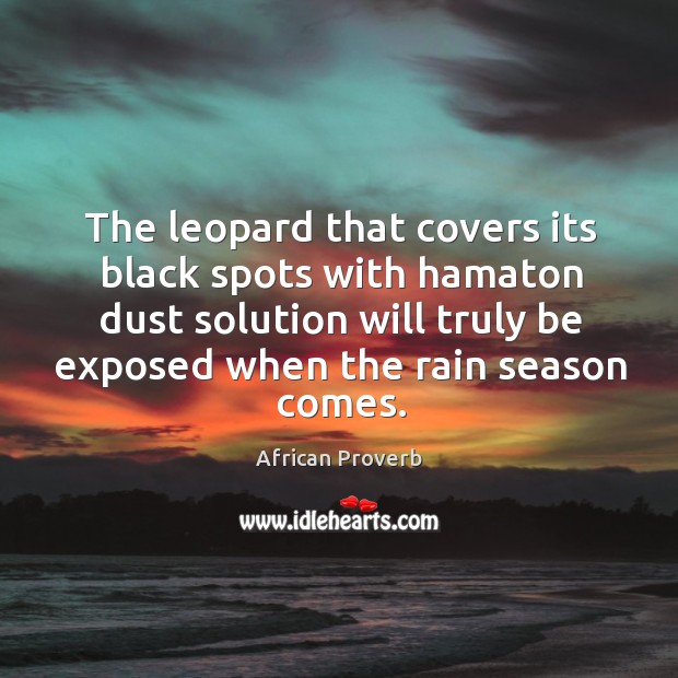The leopard that covers its black spots with hamaton dust solution will truly be exposed when the rain season comes. Image