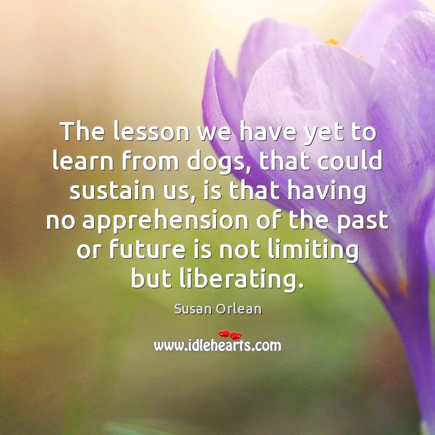 The lesson we have yet to learn from dogs, that could sustain Susan Orlean Picture Quote