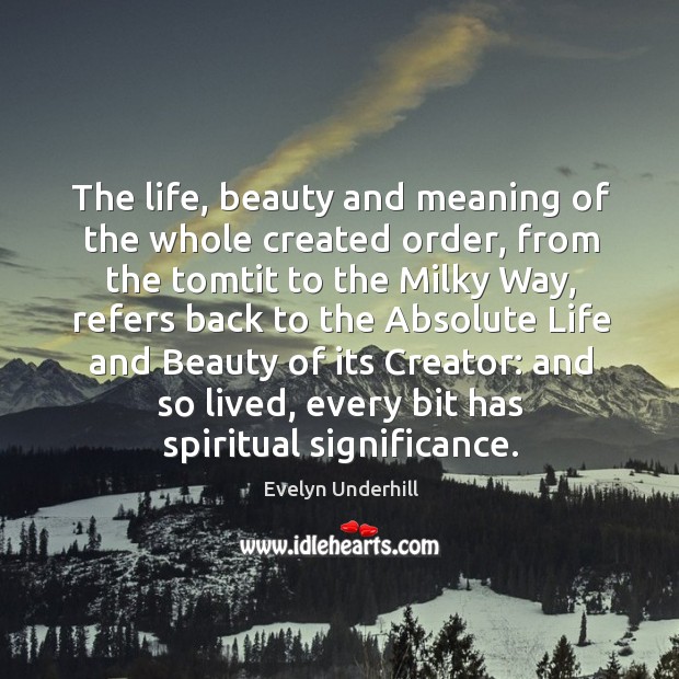 The life, beauty and meaning of the whole created order, from the Image