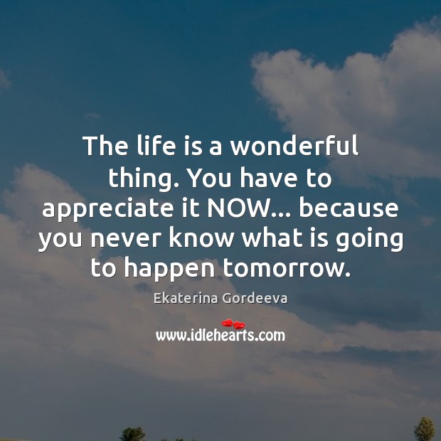 The life is a wonderful thing. You have to appreciate it NOW… Ekaterina Gordeeva Picture Quote