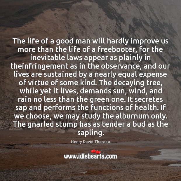 The life of a good man will hardly improve us more than Henry David Thoreau Picture Quote