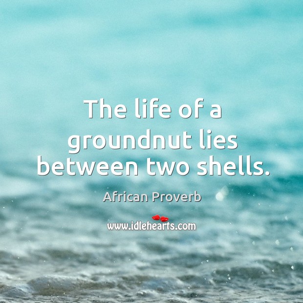The life of a groundnut lies between two shells. Image