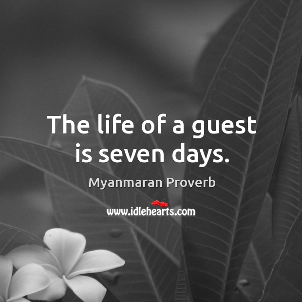 The life of a guest is seven days. Myanmaran Proverbs Image