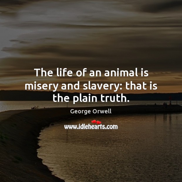 The life of an animal is misery and slavery: that is the plain truth. George Orwell Picture Quote
