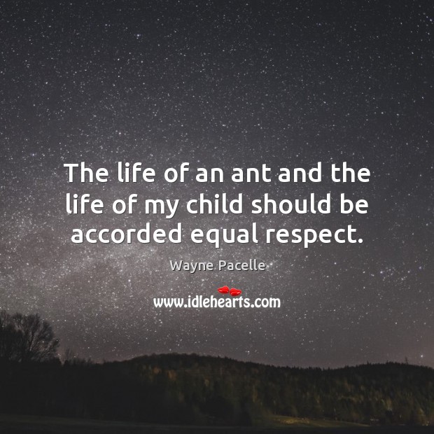 The life of an ant and the life of my child should be accorded equal respect. Wayne Pacelle Picture Quote