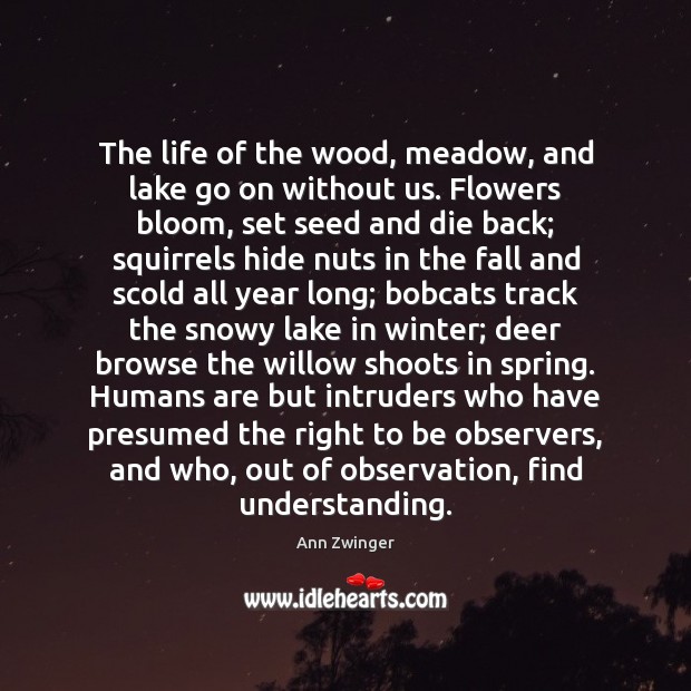 The life of the wood, meadow, and lake go on without us. Ann Zwinger Picture Quote