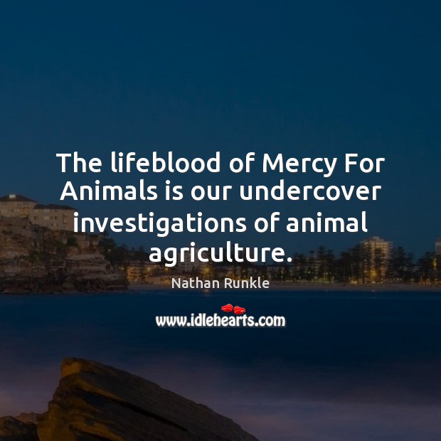 The lifeblood of Mercy For Animals is our undercover investigations of animal agriculture. Nathan Runkle Picture Quote
