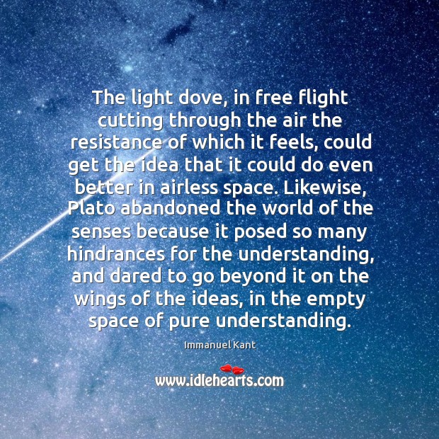 The light dove, in free flight cutting through the air the resistance Immanuel Kant Picture Quote