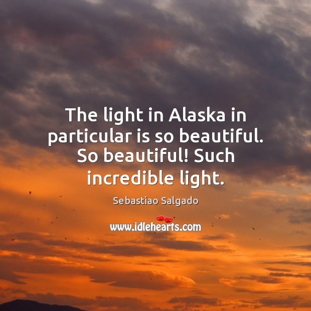 The light in Alaska in particular is so beautiful. So beautiful! Such incredible light. Sebastiao Salgado Picture Quote