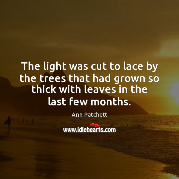 The light was cut to lace by the trees that had grown Ann Patchett Picture Quote