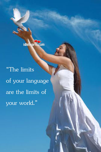 The limits of your language are the limits of your world Image
