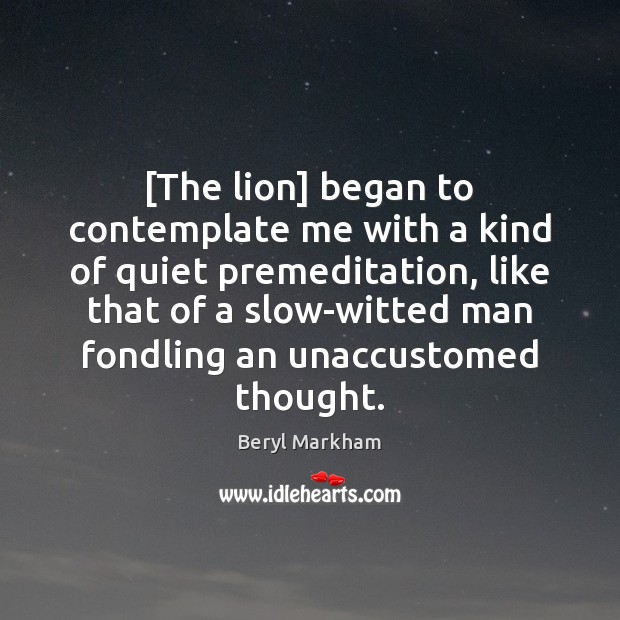[The lion] began to contemplate me with a kind of quiet premeditation, Beryl Markham Picture Quote