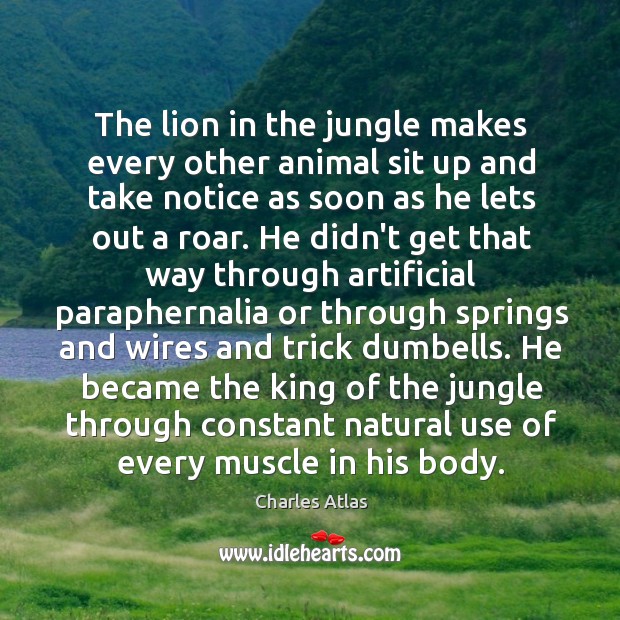 The lion in the jungle makes every other animal sit up and Charles Atlas Picture Quote