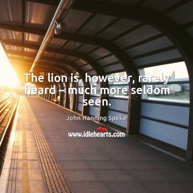 The lion is, however, rarely heard – much more seldom seen. John Hanning Speke Picture Quote