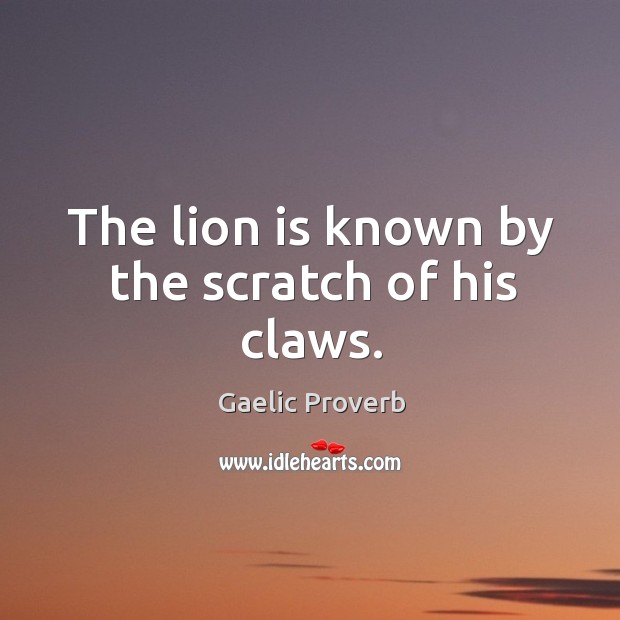 The lion is known by the scratch of his claws. Gaelic Proverbs Image