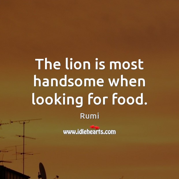 The lion is most handsome when looking for food. 