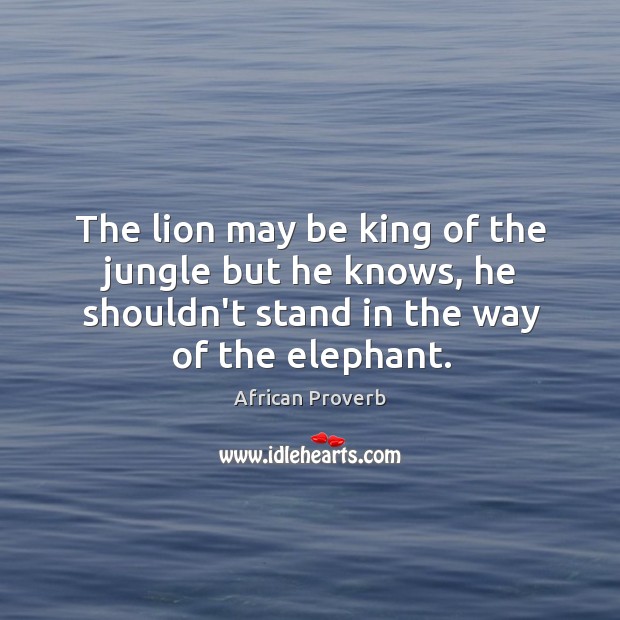The lion may be king of the jungle but he knows, he shouldn’t stand in the way of the elephant. African Proverbs Image