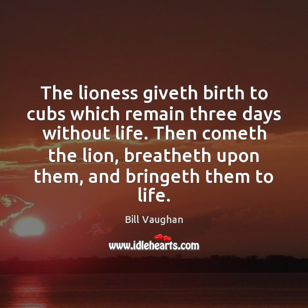 The lioness giveth birth to cubs which remain three days without life. Bill Vaughan Picture Quote