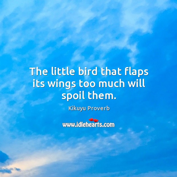 The little bird that flaps its wings too much will spoil them. Kikuyu Proverbs Image