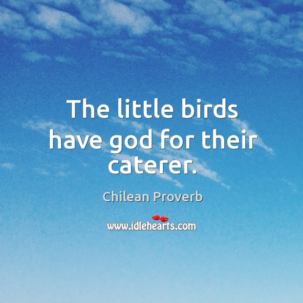 The little birds have God for their caterer. Chilean Proverbs Image