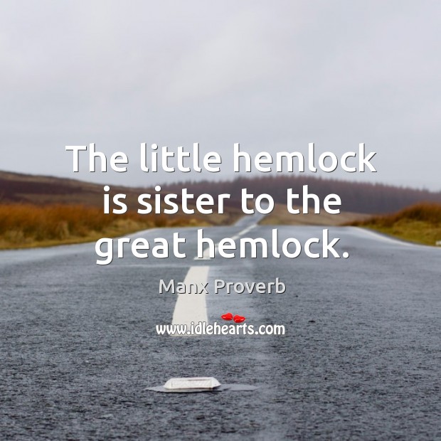 The little hemlock is sister to the great hemlock. Manx Proverbs Image
