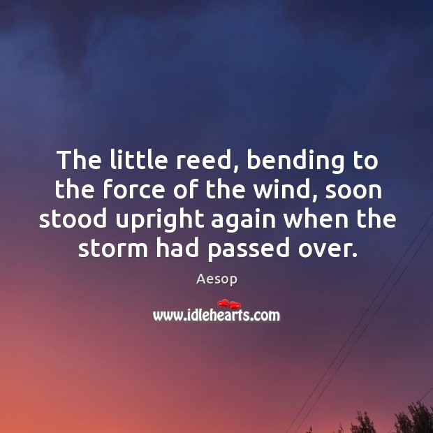 The little reed, bending to the force of the wind, soon stood upright again when the storm had passed over. 