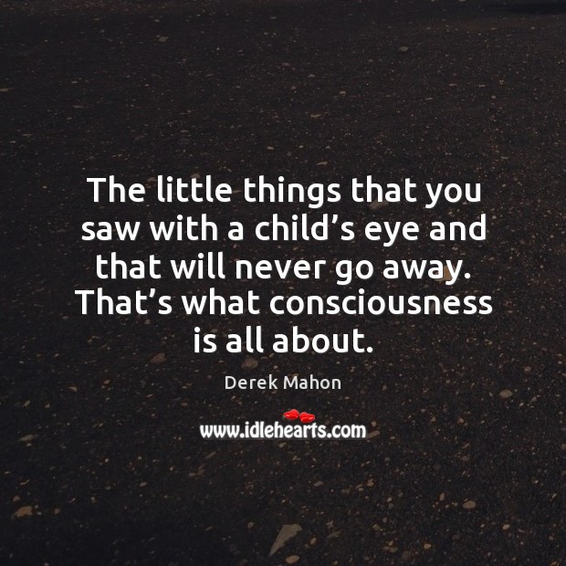 The little things that you saw with a child’s eye and Derek Mahon Picture Quote
