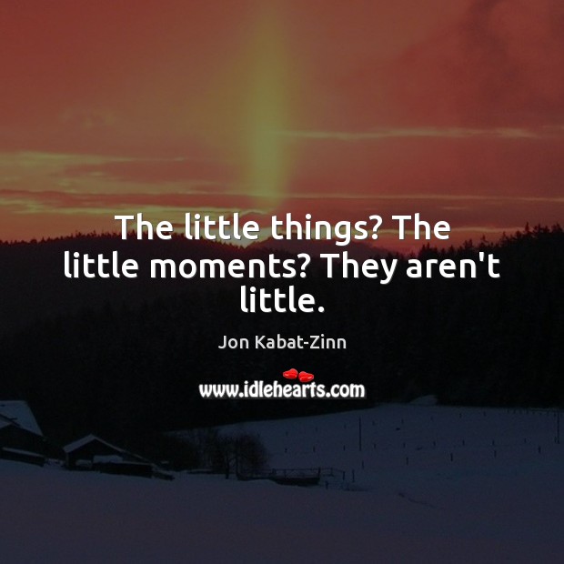 The little things? The little moments? They aren’t little. Jon Kabat-Zinn Picture Quote